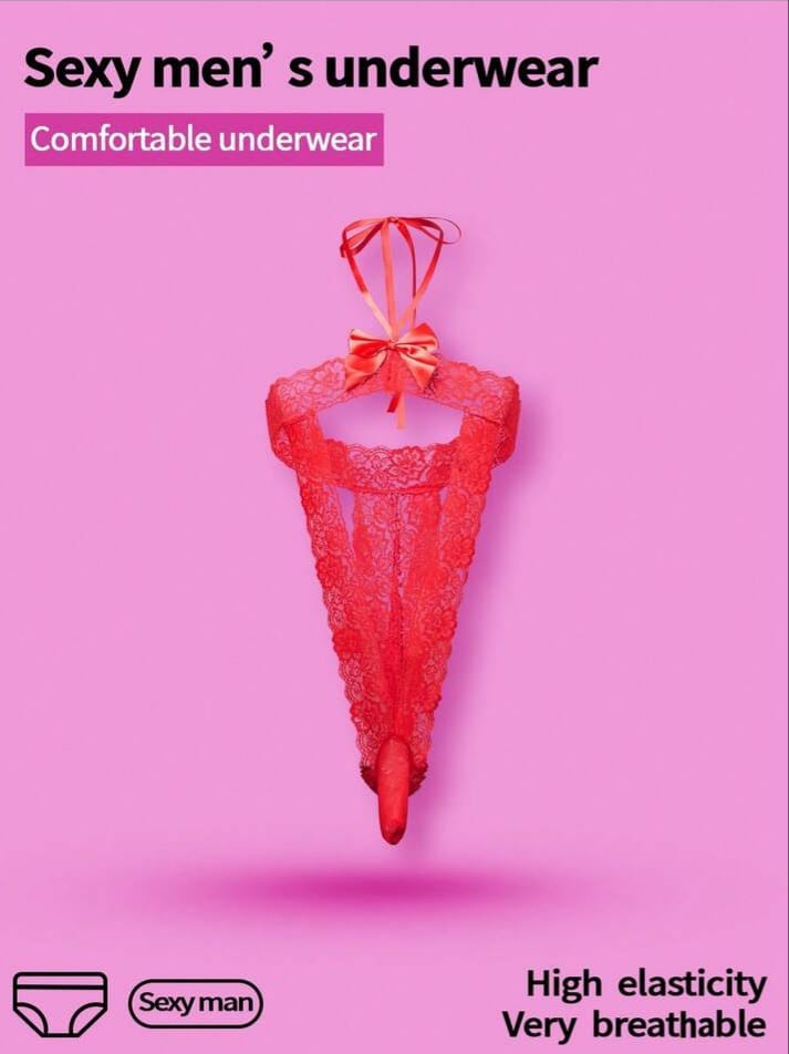 Men's Lace Bow Decor Sexy Briefs Underwear